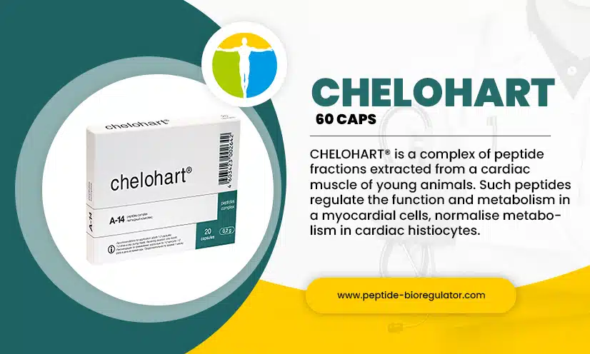 Chelohart